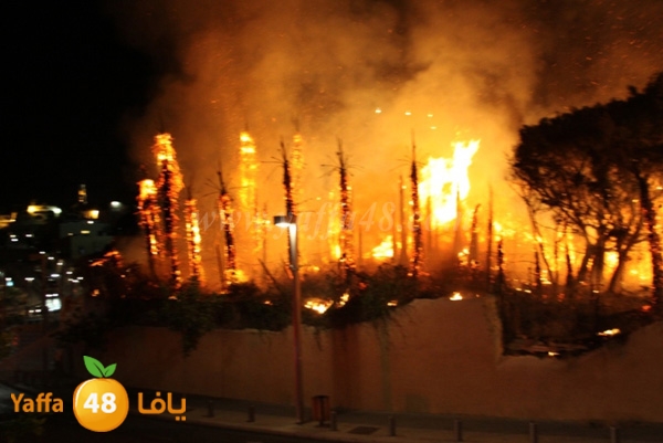 fire maqbarasjd (8).JPG